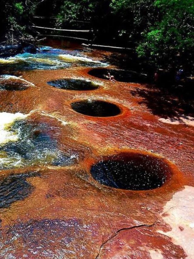 ‘Buracos misteriosos’ atraem curiosidade na Amazônia