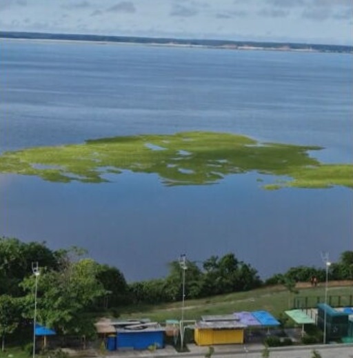 Nível dos rios sobe e Amazônia respira após seca histórica