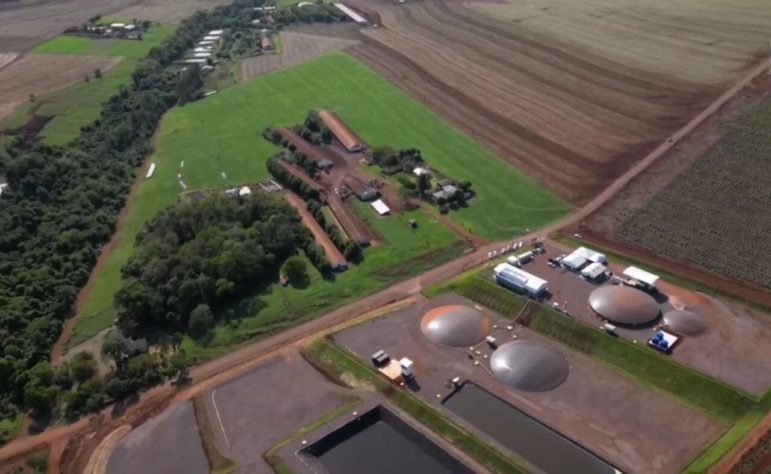 Cidade do Paraná faz estrume de porco virar energia elétrica