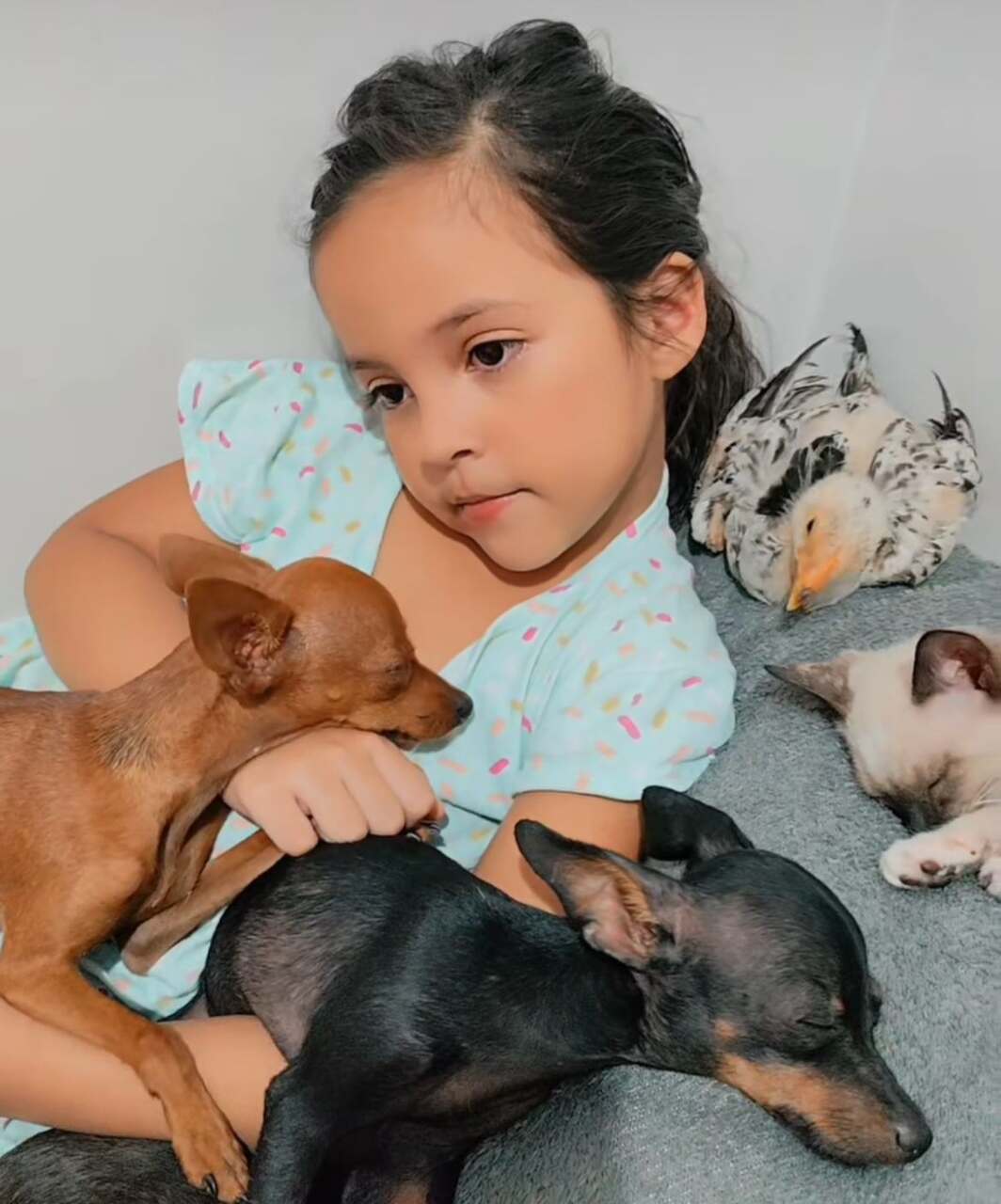 O sucesso dos vídeos levou Helena Sophia a quatro programas de TV: “Encontro” e “É de Casa”, da Globo, “Hoje em Dia”, da Record, e “Primeiro Impacto”, do SBT.