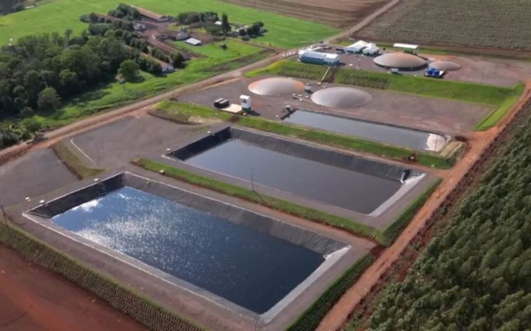 Cidade do Paraná faz estrume de porco virar energia elétrica