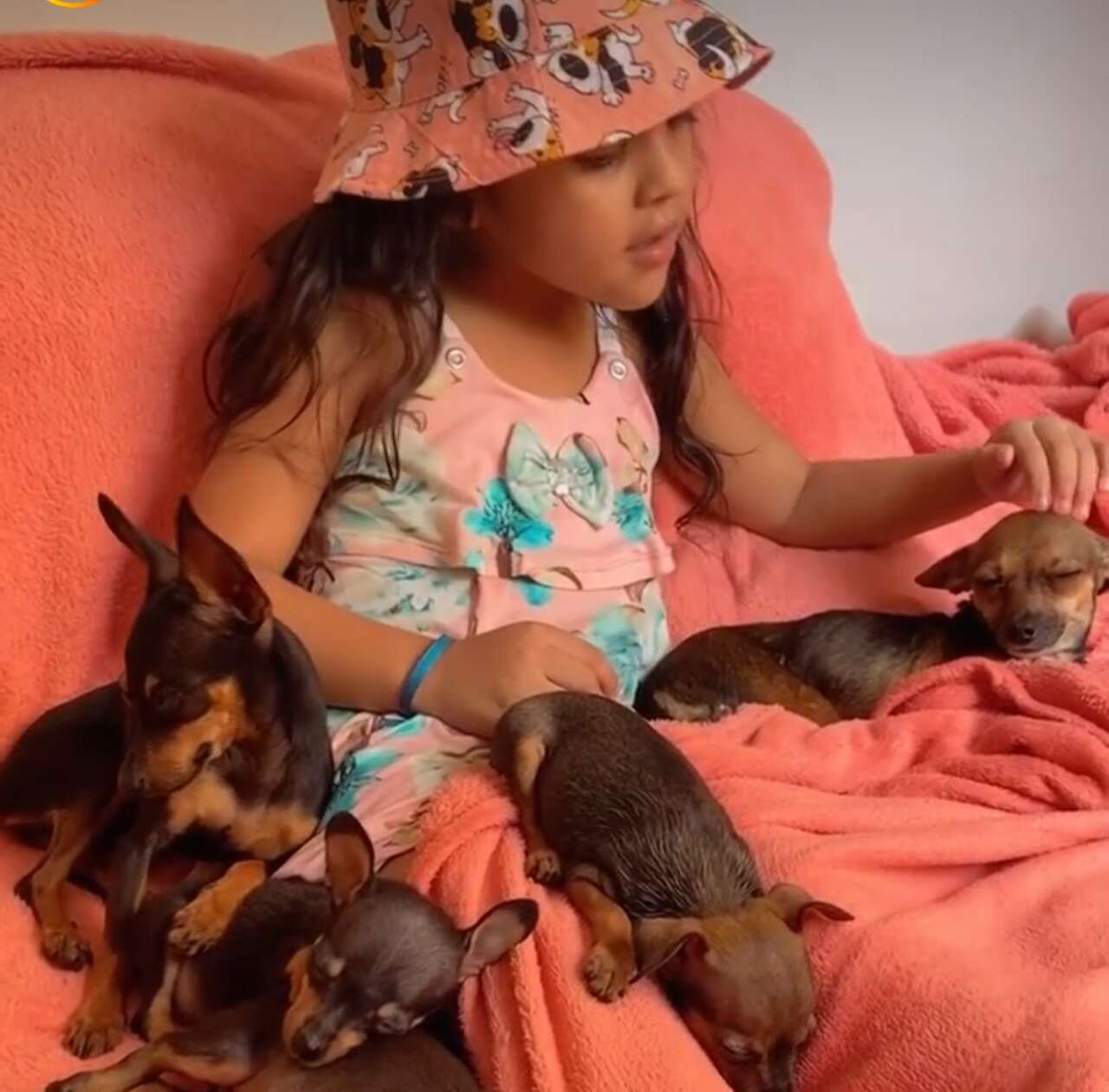 'O primeiro vídeo bateu 4 milhões de visualizações. Ela sempre gostou de estar cantando, brincando com os cachorrinhos, sempre foi assim, só que a gente nunca gravou. Aí teve um dia que ele resolveu gravar e foi o que deu sucesso, a gente não imaginava que iria repercutir, que ia ganhar tantos seguidores como ela ganhou', conta Oscarina.