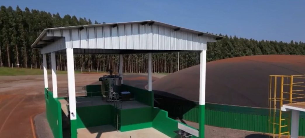 Cidade do Paraná faz estrume de porco virar energia elétrica