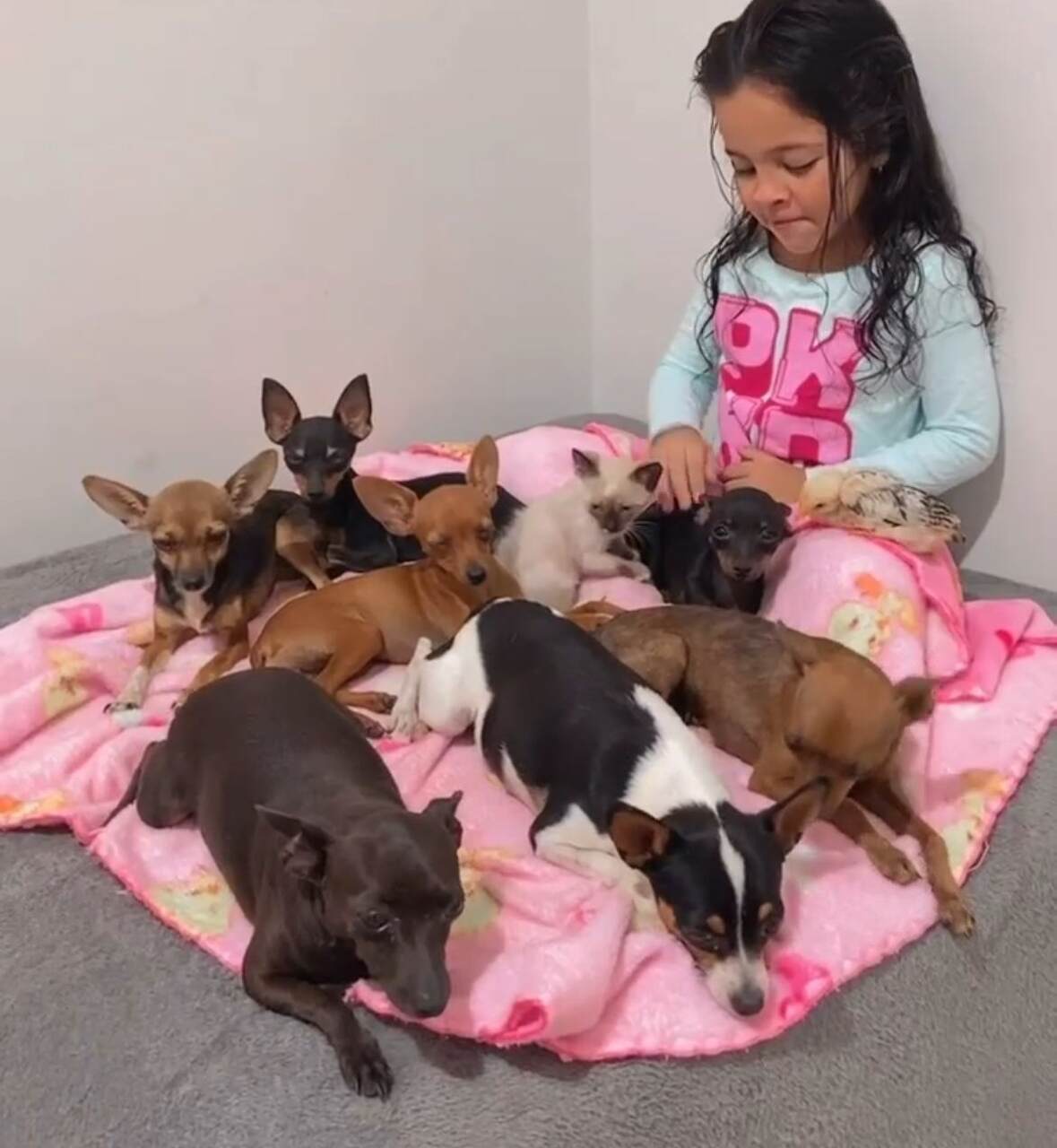 Além dos cachorros, ela mostrava uma gata chamada Xaninha e uma galinha chamada Berenice.