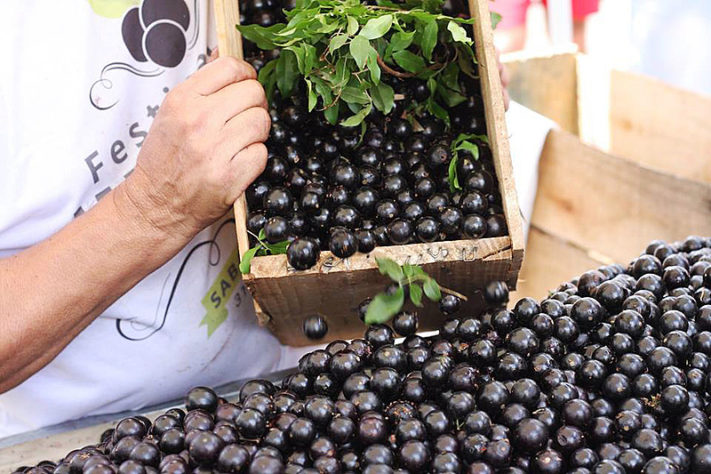 Jabuticaba