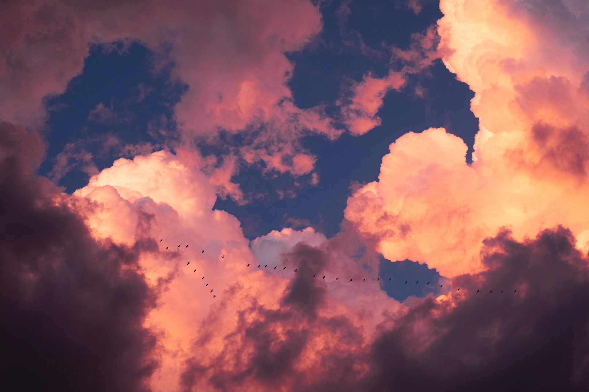 Não foi só no Canadá que esse fenômeno do céu-cor-de-rosa já intrigou internautas. Em janeiro de 2022, várias cidades brasileiras amanheceram com um céu "colorido".-Nicole Geri Unsplash