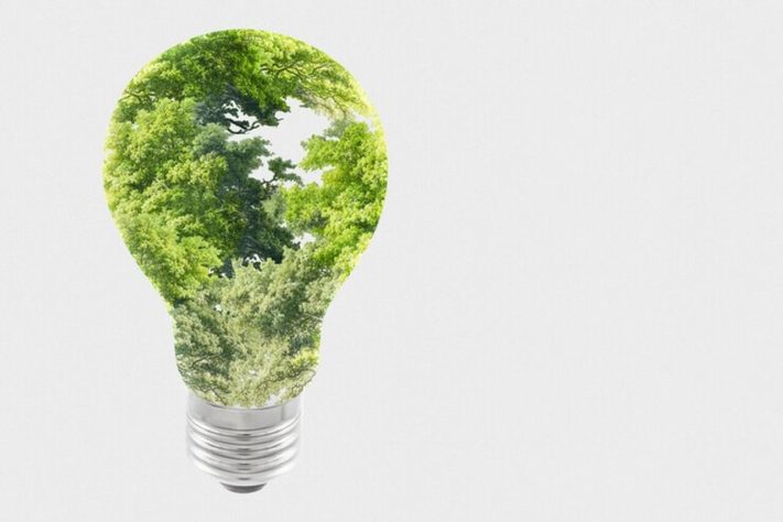 Cidade do Paraná faz estrume de porco virar energia elétrica