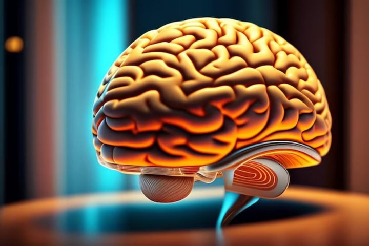 Ele argumenta que não há evidências de que organismos complexos, como seres humanos, possam ser revividos sem danos cerebrais graves.