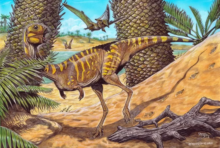 Estima-se que aproximadamente 40 espécies de dinossauros já tenham sido identificadas no Brasil, incluindo carnívoros e herbívoros de diversos portes.