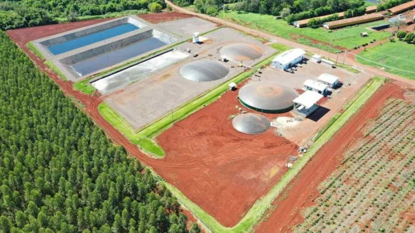 Cidade do Paraná faz estrume de porco virar energia elétrica
