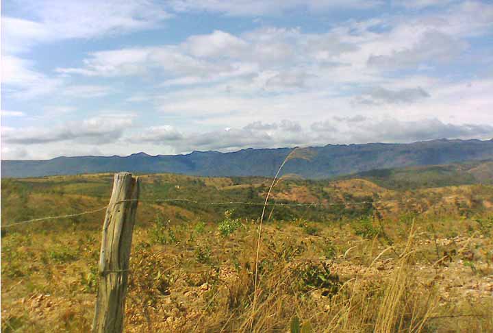 Desmatamento do Cerrado pode causar maior extinção de flora desde 1500 -  Flickr/fabianomatama