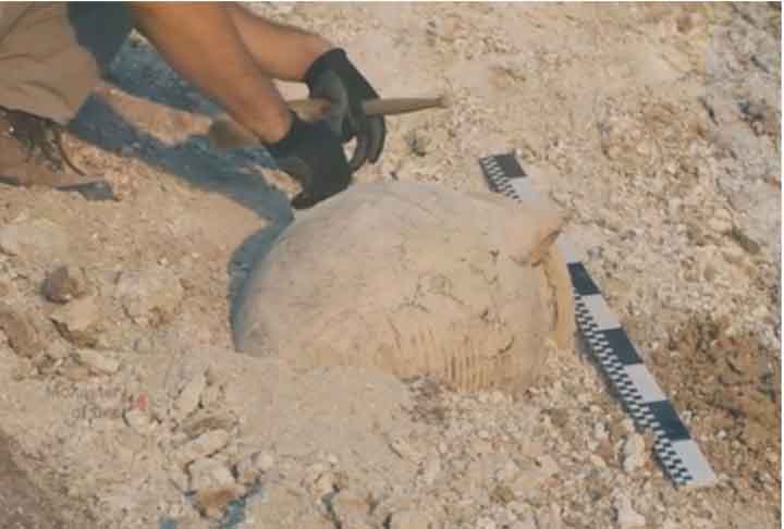 Arqueólogos encontram indícios de cemitério da Idade da Pedra