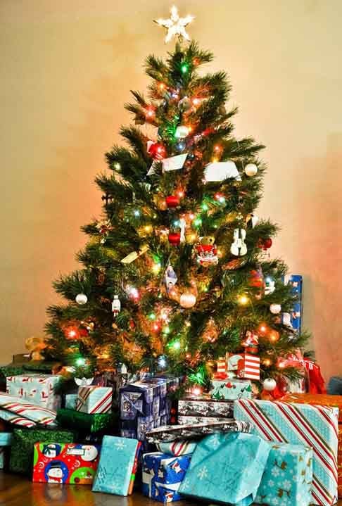 A partir disso, a Árvore de Natal se consolidou como uma prática alemã, e se popularizou pela Europa quando a rainha Vitória e o príncipe Albert decidiram usá-la como parte da sua decoração natalina no século 19.