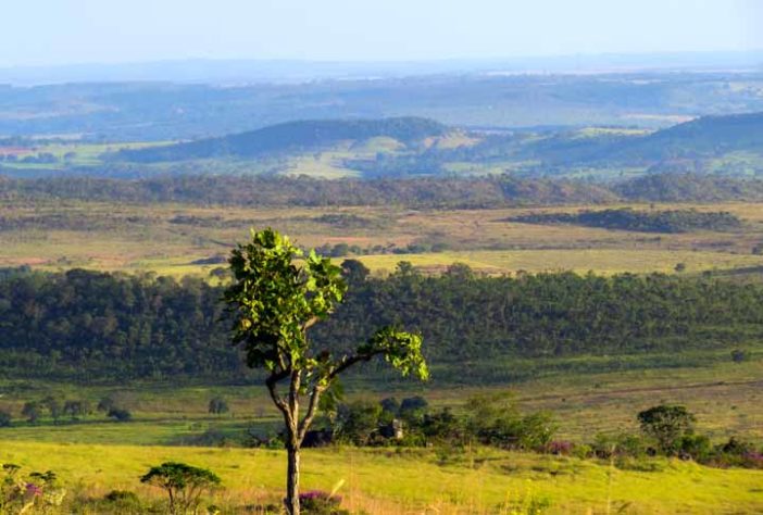 Cerrado