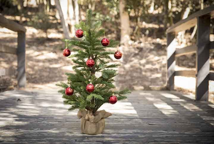 A tradição das árvores de Natal na Alemanha provavelmente também chegou aos Estados Unidos no fim do século 18. Isso aconteceu quando as tropas do estado alemão de Hesse se juntaram aos britânicos na Guerra da Revolução Americana.