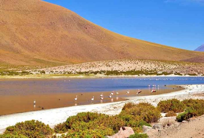 Chile