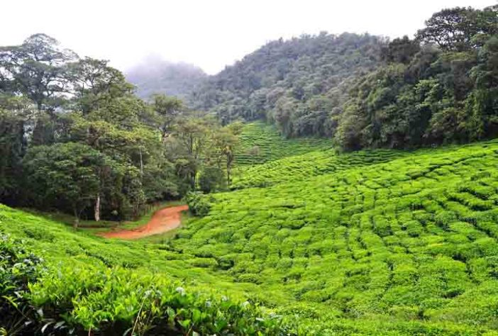 Turismo na  Colômbia 