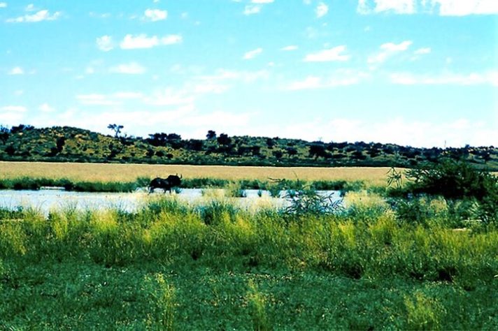 Aquífero Kalahari