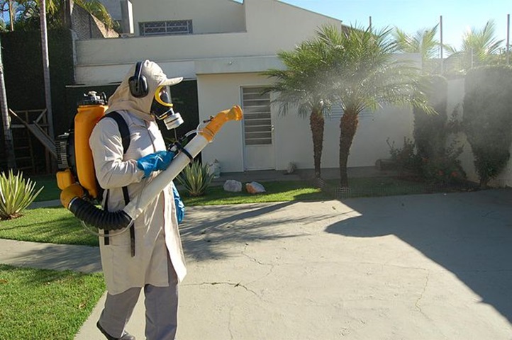 No atual momento, a adoção da vacina no SUS é uma alternativa importante, porém a Wolbachia chegou para somar as possibilidades de enfrentamento a este mosquito.