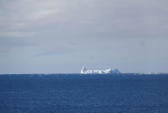 Pesquisadores descobrem 'aranha com luvas de boxe' na Antártica