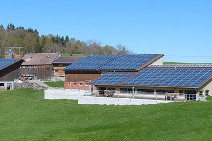 Painel solar - GabrielleMerk/Wikimedia Commons