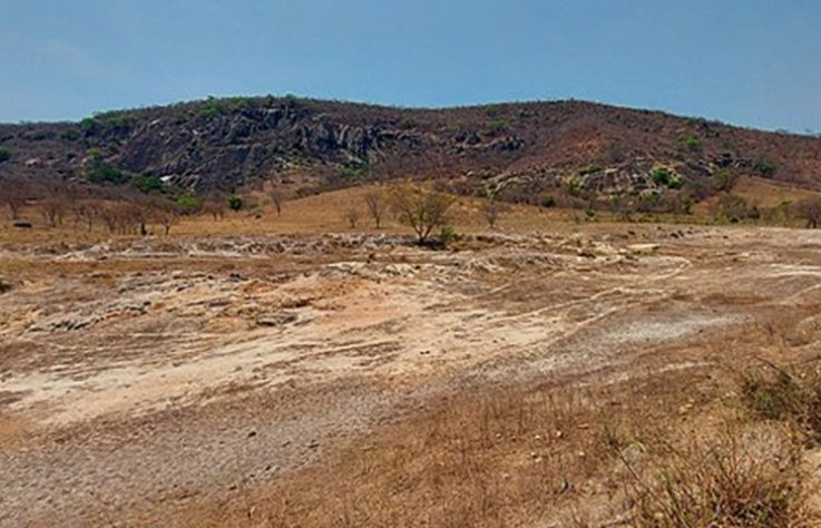 Vale do Jequitinhonha, Caatinga – A. Duarte/Wikimedia Commons