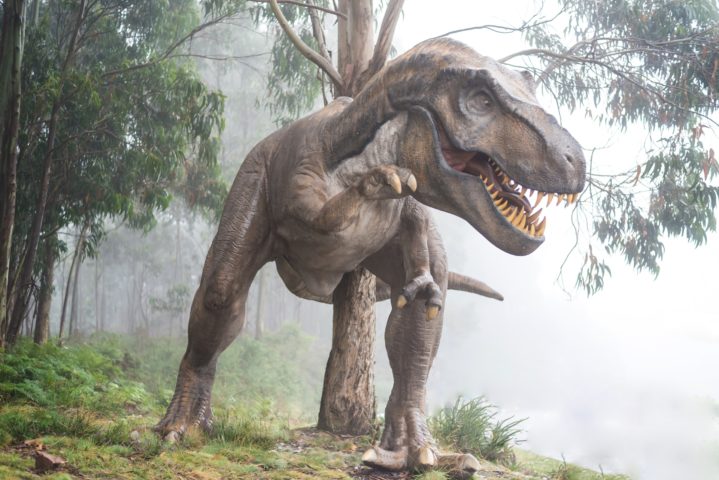 Estudo levanta nova hipótese para a extinção dos dinossauros - Fausto García-Menéndez unplash