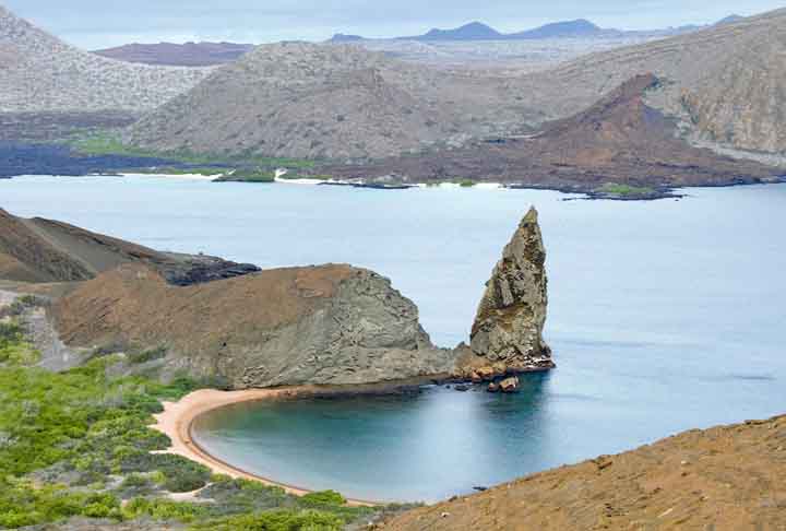 Em sua área de ocorrência global, as fragatas estão em ilhas do Caribe, América Central, ilhas do Pacífico como Havaí, Polinésia e as Galápagos, além de trechos da costa atlântica.