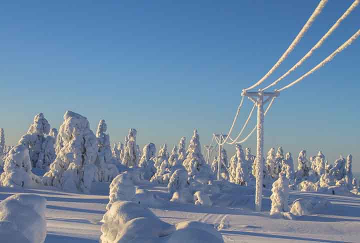 O Círculo Polar Ártico, conhecido também de Pólo Norte, é uma das áreas mais frias do planeta. Sua extensão abrange cerca de 21 milhões de quilômetros quadrados, sendo que desse total 65% é composto pelo Oceano Glacial Ártico.
