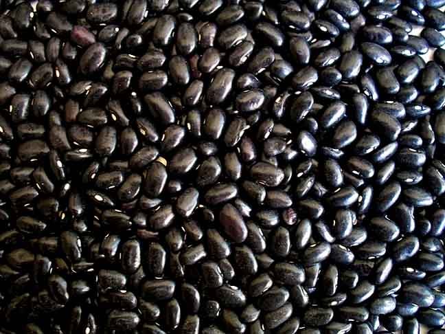 Feijão Preto- O mais popular no Brasil.  Rico em fibras, proteínas, ferro e zinco. Ele é conhecido por auxiliar na digestão e na saúde intestinal e ajuda a cuidar da saúde do coração.-Imagem de PublicDomainPictures por Pixabay