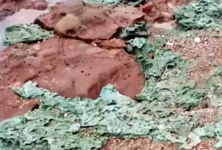 Cientista encontra ‘rochas de plástico’ na Ilha da Trindade - Youtube Canal CAPES_Oficial