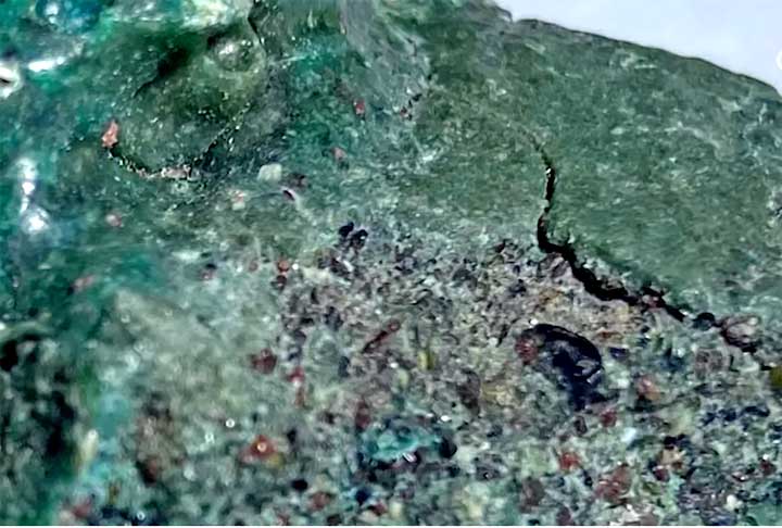 "A minha sensação inicial foi de estranheza com muita curiosidade e questionamentos. Eu me senti feliz e motivada por estar desempenhando o papel de uma cientista, abordando e lidando com o problema, através de uma pesquisa inédita", disse Fernanda ao site do Governo Federal. 