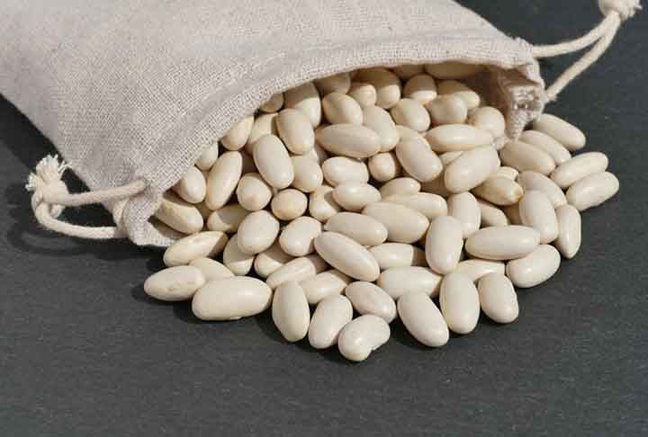 O feijão branco possui alto teor de fibras, proteínas e minerais, como o cálcio, potássio e o zinco. Ele é conhecido por auxiliar na redução do colesterol e fortalecer nosso sistema de defesa. - Imagem de Pictavio por Pixabay