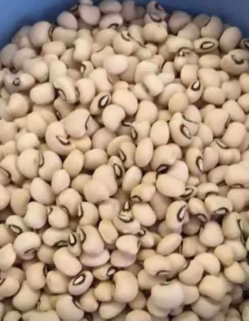 FeijÃ£o Fradinho- Rico em fibras, ferro e cÃ¡lcio que ajudam na prevenÃ§Ã£o da anemia e na reduÃ§Ã£o dos nÃ­veis de colesterol. Ele Ã© conhecido por ser mais leve e de fÃ¡cil digestÃ£o, ideal para o preparo de saladas. -ReproduÃ§Ã£o/Youtube