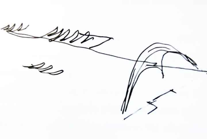 Posteriormente, seu nome oficial mudou para 