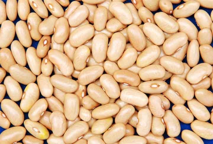 Feijão Jalo- Possui forma longa e coloração amarela, com fibras, ferro e antioxidante que auxiliam no combate ao envelhecimento e na saúde do coração. Ele é popular em Minas Gerais e no Nordeste do Brasil. -Divulga/Embrapa