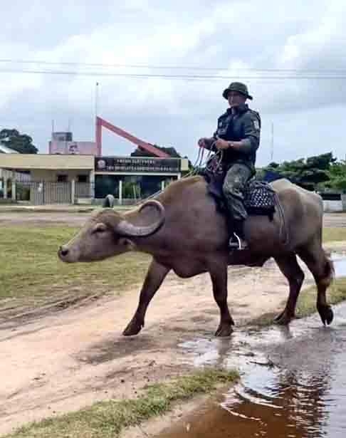 Soure Ã© um municÃ­pio brasileiro localizado na zona fisiogrÃ¡fica da Ilha de MarajÃ³, no estado do ParÃ¡, na RegiÃ£o Norte do Brasil.  Foi fundada em 20 de janeiro de 1847 por Francisco Xavier de MendonÃ§a Furtado e estÃ¡ localizada a 80 km da capital paraense BelÃ©m.
