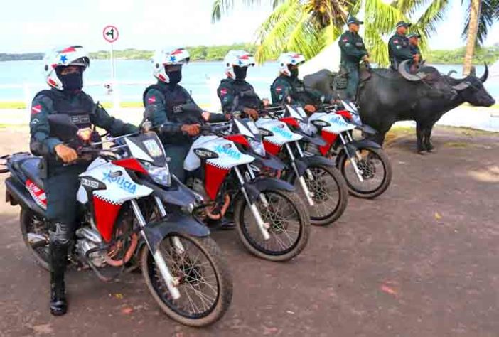 Polícia Montada da Ilha de Marajó - Bufalos -