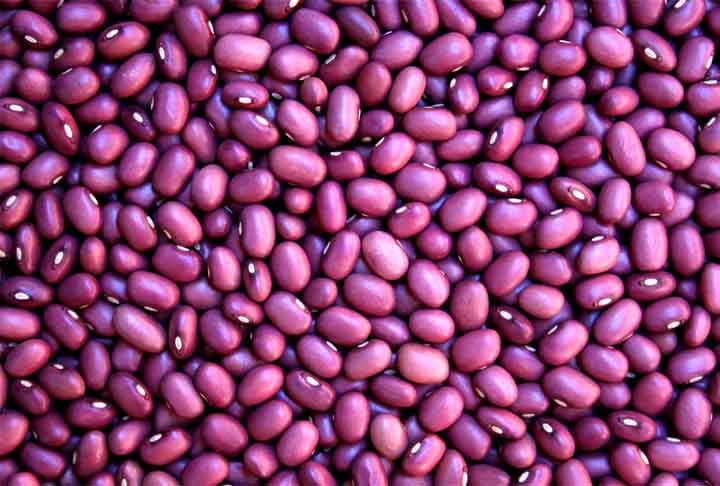 Feijão Roxinho- Possui grãos pequenos e macios. É rico em fibras, contém grandes quantidades de amido resistente, ferro, magnésio e antioxidantes que podem desempenhar um papel importante no controle do peso.-Divulgação/Embrapa