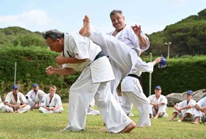 lutas e artes marciais 