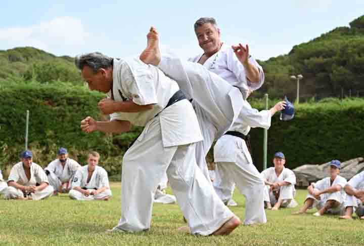 Seiwakai- Forma de Karatê desenvolvida no Japão por Kenji Kurosaki. Combina golpes de punho, chutes, joelhadas e cotoveladas, com manobras de defesa e controle. É uma variação do Karatê Kyokushin, conhecido pela ênfase na força, resistência e espírito de luta.