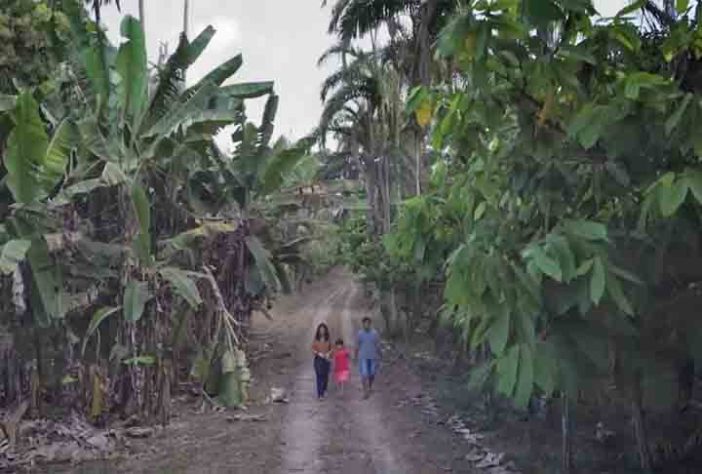 Floresta de comida