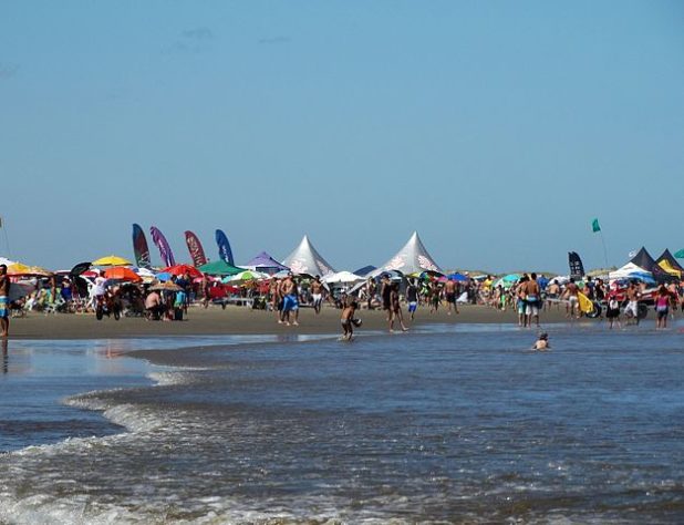 Águas-vivas em praias gaúchas 