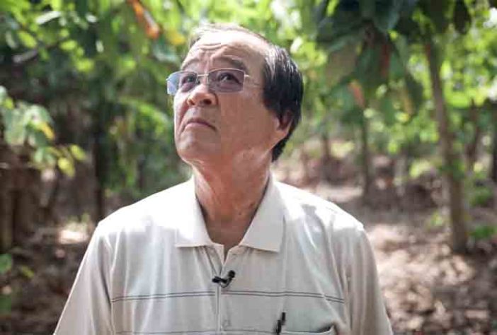 Floresta de comida