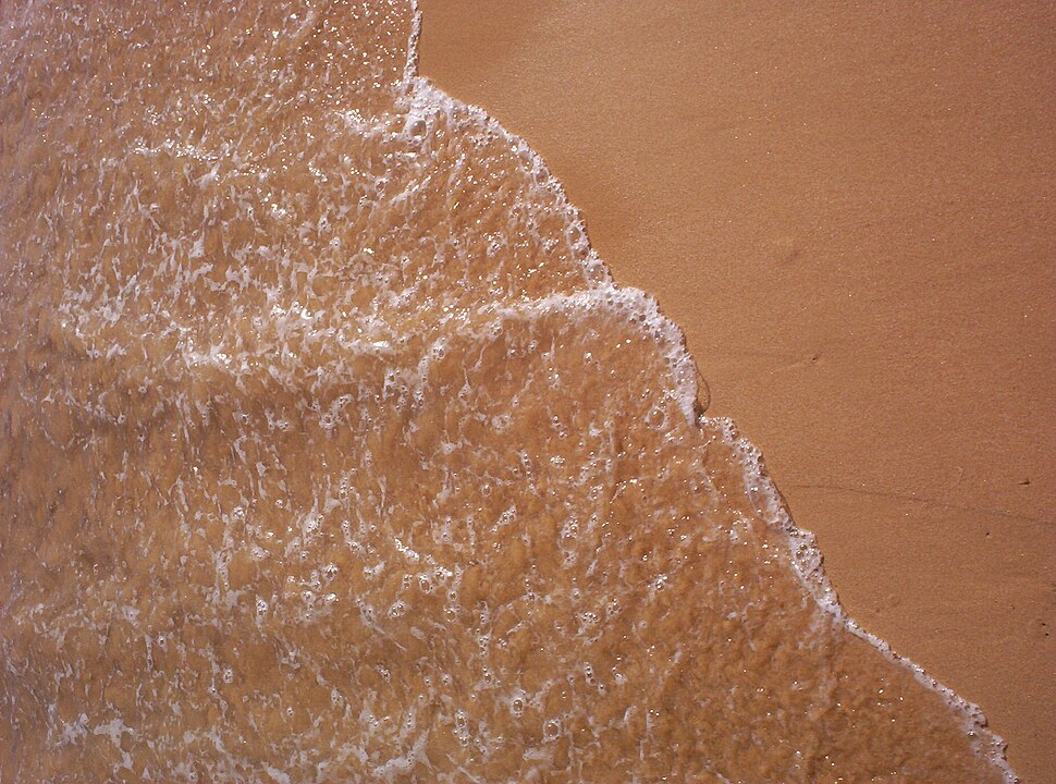 O mesmo padrão também foi observado em países como Estados Unidos, México e Uruguai.