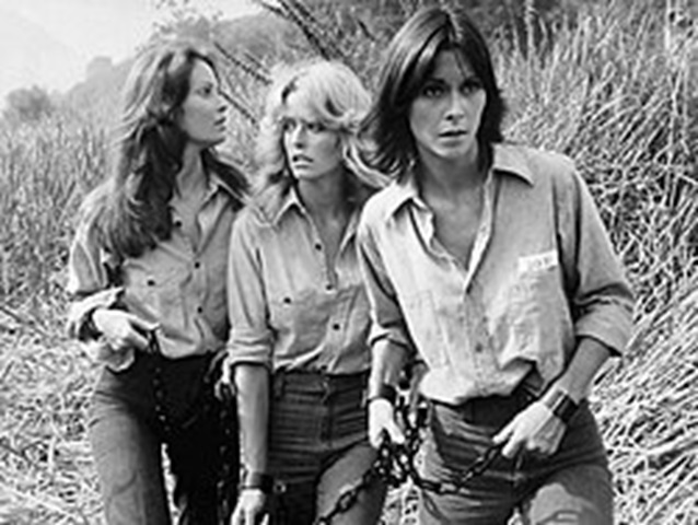 Produzida por Aaron Spelling e Leonard Goldberg, "As Panteras" teve o trio Jaclyn Smith (Kelly Garret), Farrah Fawcett-Majors (Jill Munroe) e Kate Jackson (Sabrina Duncan). Três tipos diferentes de beleza: a loiraça de cabelão (Farrah), a morena de cabelão (Jaclyn) e uma beleza mais contida, chanel (Kate). 