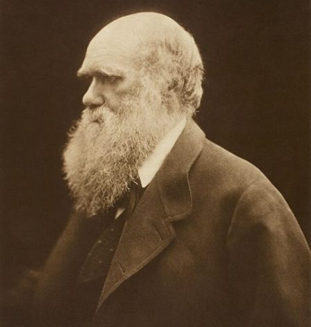 Charles Darwin - Julia Margaret Cameron/Wikimedia Commons