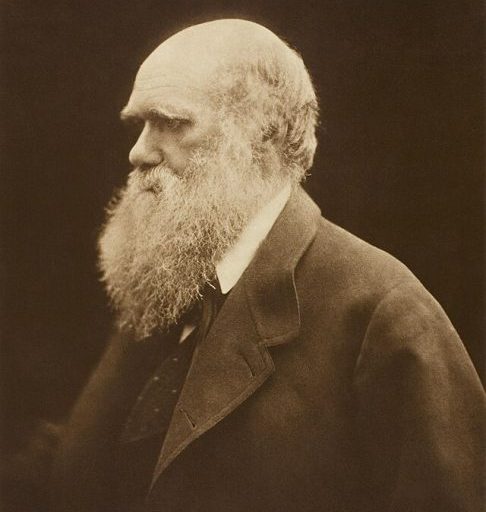 O brasileiro pondera que, embora os movimentos nativos contemporâneos avaliem os escritos daquele período com críticas severas ao anacronismo de certas expressões, Darwin manteve uma postura firmemente antirracista e utilizou essas memórias de estranhamento para concluir que a humanidade partilha da mesma igualdade.