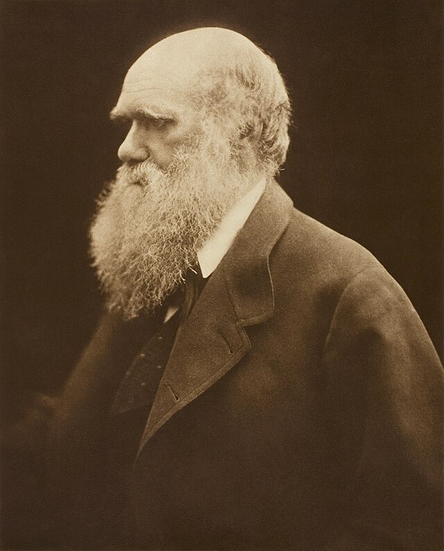 Charles Robert Darwin nasceu em uma família próspera. Robert, seu pai, era um médico de carreira bem-sucedida. 
