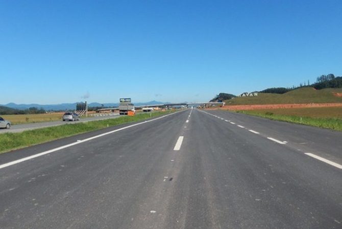 Mulher socorre mamífero venenoso na estrada e vai parar no hospital